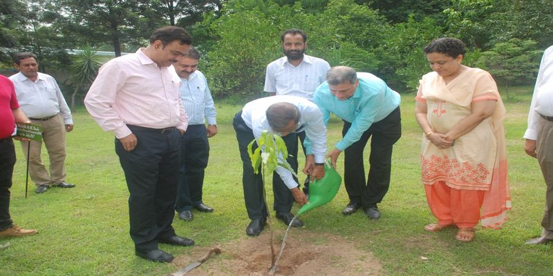PSTCL celebrates Van Mahotsav week under Green PSTCL Campaign