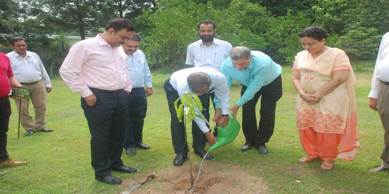 PSTCL celebrates Van Mahotsav week under Green PSTCL Campaign