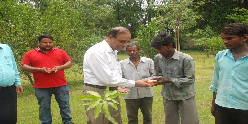 PSTCL celebrates Van Mahotsav week under Green PSTCL Campaign